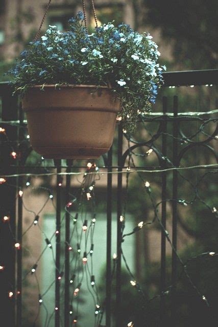 twinkle lights on the garden fence | Fairy lights garden, Fairy garden, Fairy lights