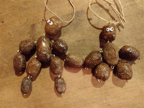 Woman Uses Moose Poop To Create Art For Her Booming Business – Cozy News