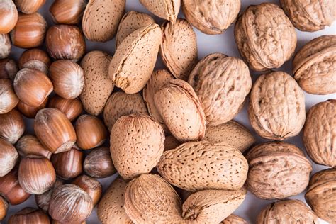 Nuts Free Stock Photo - Public Domain Pictures