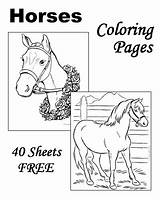 Horse Coloring Pages sketch template