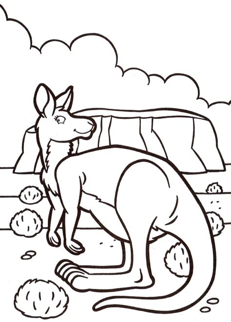 Kangaroo in australia - Animals Coloring Pages for adults