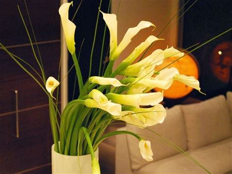 Wedding Flower Arrangements You Can Do Yourself | Reader's Digest
