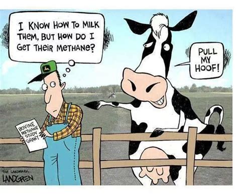 Pull my Hoof | Funny cartoons jokes, Cows funny, Funny cartoons