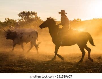 308 Horse Muster Images, Stock Photos & Vectors | Shutterstock