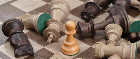 6 Best Chess Books That Shed Light on the Beloved Game