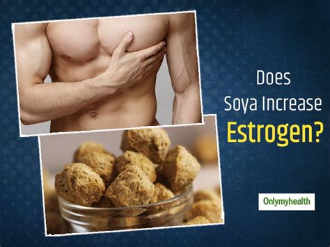 Does Soya Increase Estrogen Level In A Man's Body? Read Dietitian's ...