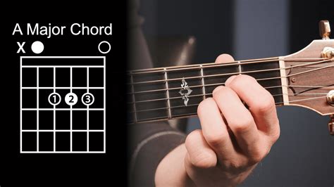 8 Chords You Must Know - Free Guitar Lessons