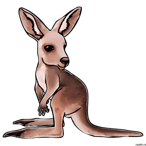 Kangaroo Cartoon Drawing in 4 Steps With Photoshop | Kangaroo illustration, Kangaroo drawing ...