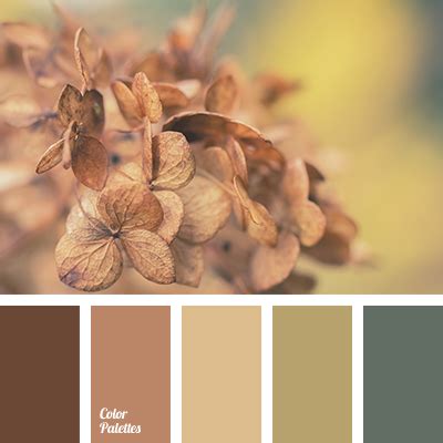 house color scheme | Color Palette Ideas
