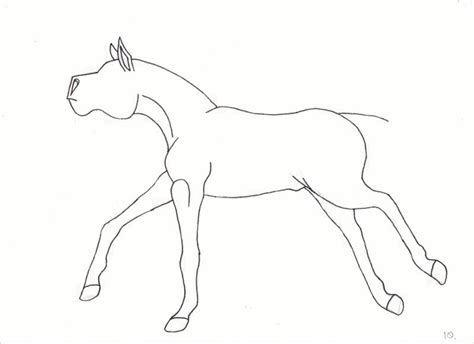 Horse Animation - Line Art by purapuss on DeviantArt