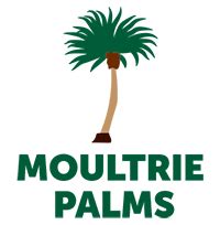 Hybrid Mule Palm Trees for Sale in Florida
