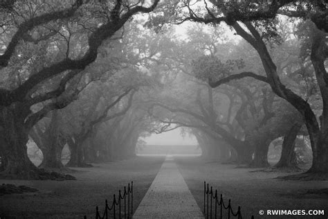 Fine Art Photography Prints | | | | | Louisiana Plantations - Color ...