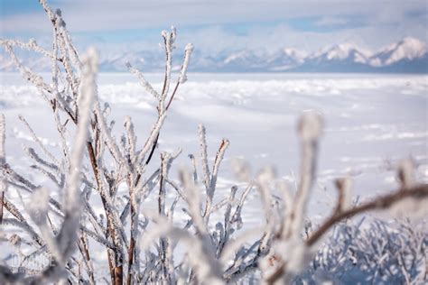 Baikal: winter journey. Part 3