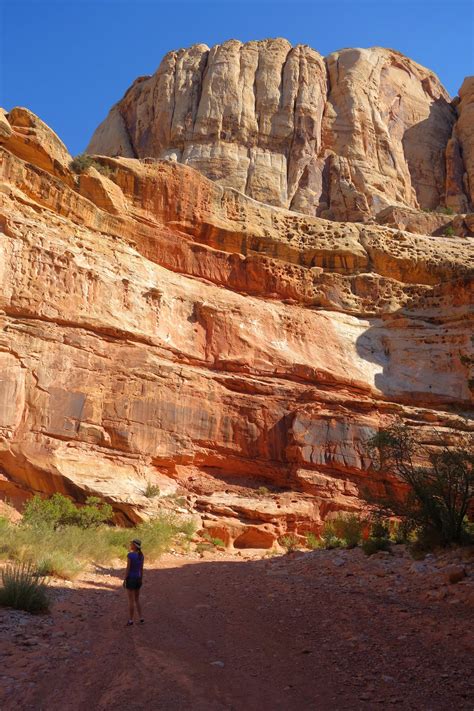 Grand Wash Trail in Capitol Reef National Park | Utah national parks ...