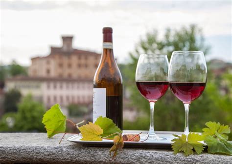 10 Best Italian Red Wine Types- Red Wines in Italy | Italy Best