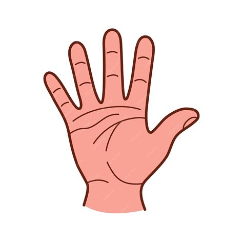 Premium Vector | Hand gesture. open palm. sketch vector illustration.