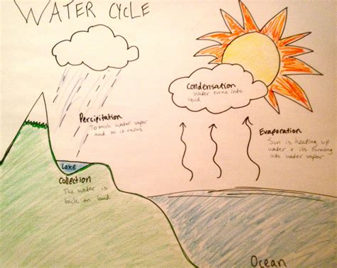 Water Cycle Diagram Drawing Illustration Drawing A Nature Scene | My XXX Hot Girl