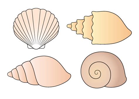 How to Draw Shells Step by Step - EasyLineDrawing