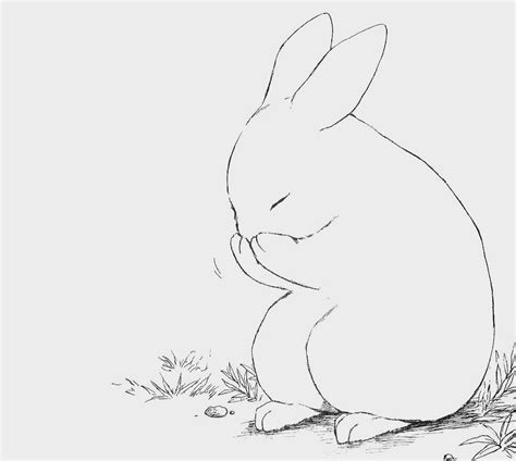 Pin by Aubrey Elaine on a r t | Bunny drawing, Rabbit art, Bunny art