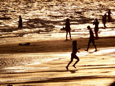 Family Plays On The Beach Free Stock Photo - Public Domain Pictures