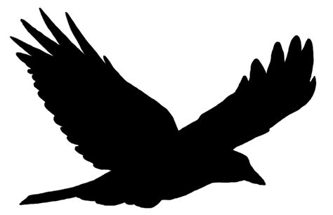 Bird flight Bird flight Common raven Clip art - birds silhouette png ...