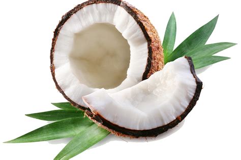 Coconut milk Coconut bar Coconut oil - Coconut PNG image png download ...