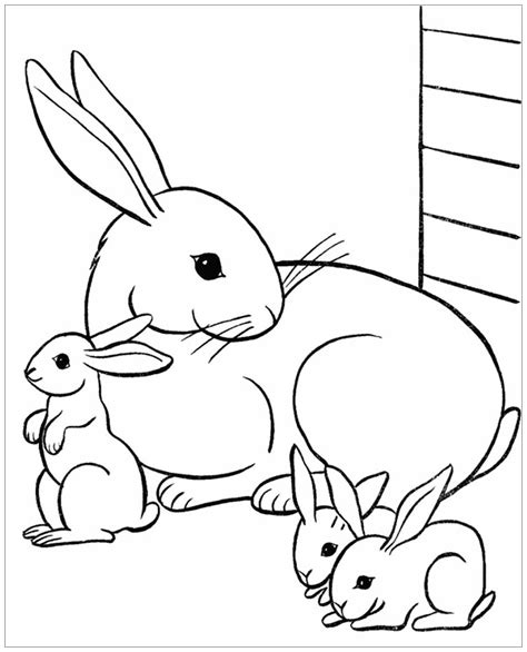 Rabbit & bunnies coloring page for kids - Rabbit & Bunny Coloring Pages for Kids