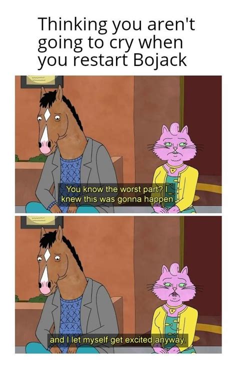 Every Time | BoJack Horseman in 2021 | Bojack horseman, Horseman, Memes