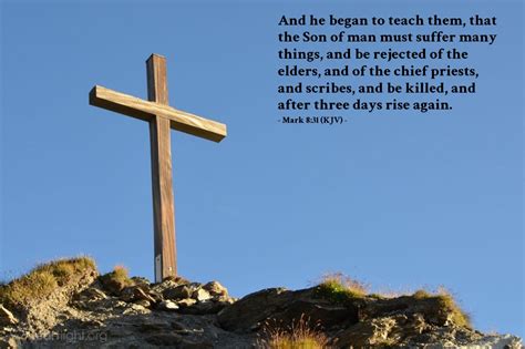 Mark 8:31 (KJV) — Today's Verse for Friday, August 31, 2012