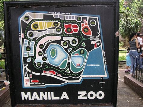 Philippines Phil: Manila Zoo Anyone?