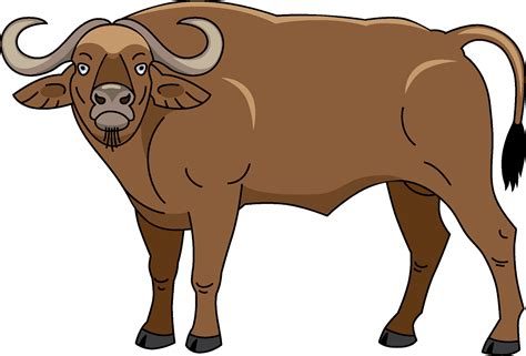 Cape Buffalo Clipart Clip Art Library - vrogue.co