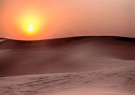 Dubai Desert | Dubai desert, Dubai, Sunset