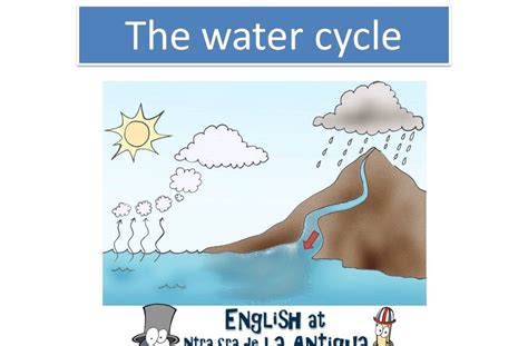 English at Ntra. Sra. de la Antigua School.: The water cycle, by 4º