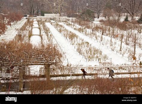 Winter Brooklyn Botanic Garden Stock Photo - Alamy