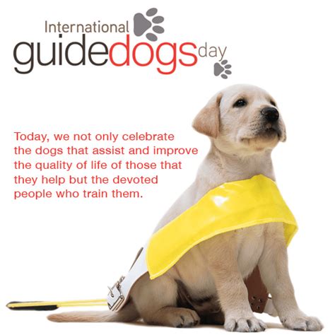 Guide Dog - DGP For Pets