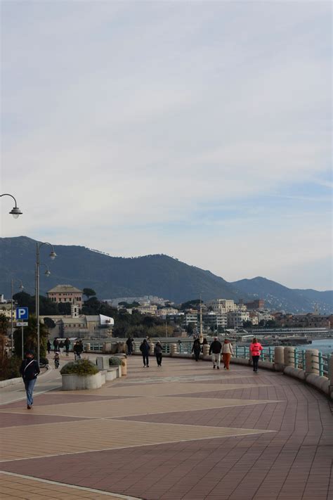 Zoe+Dp+Video Photos, Download The BEST Free Zoe+Dp+Video Stock Photos