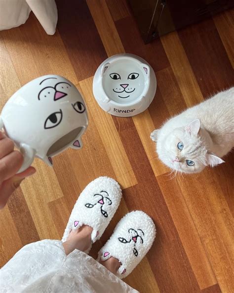 Search Results – RIPNDIP