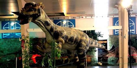 Shayna loren onlyfans nudes she is a young woman and