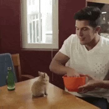 25 GIFs That Turn Any Group Chat Into Chaos – Barnorama