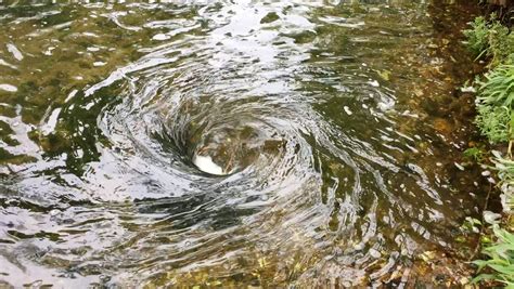 Bizarre 'swallow hole' suddenly appears in Wilson’s Creek