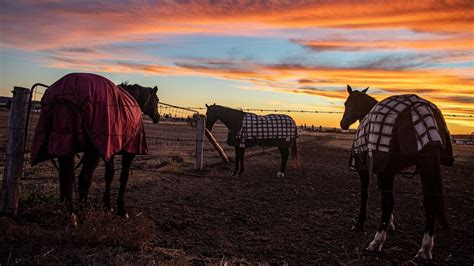 Black women riding dick i did know that I wanted fulfill a