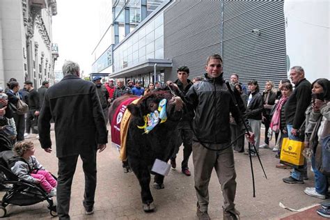 Honeypot1766 sex video i don't speak Spanish and she didn't