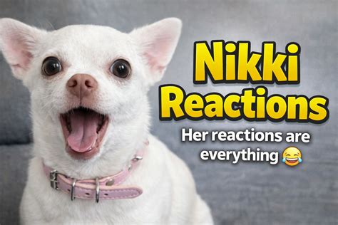 Nikki Reaction