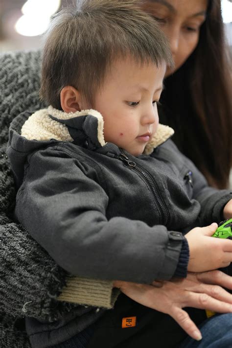 70.222+ Fotos y Imágenes de Pig+japanese+mom Gratis · Banco de Fotos Gratis