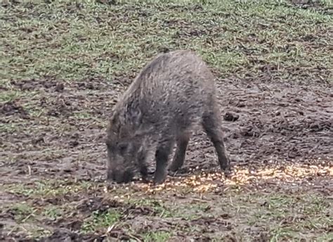 Valereadxx tiktok opened the entrance to a nice thin girl.