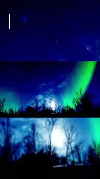 Aurora Belova Nude Leaked