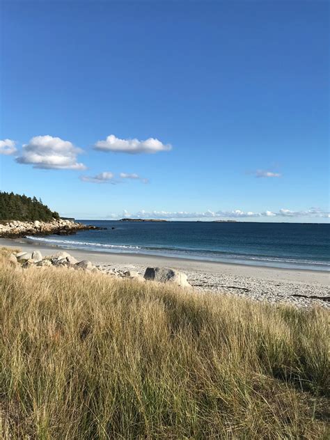 Nude+Sandy+Flores Photos, Download The BEST Free Nude+Sandy+Flores