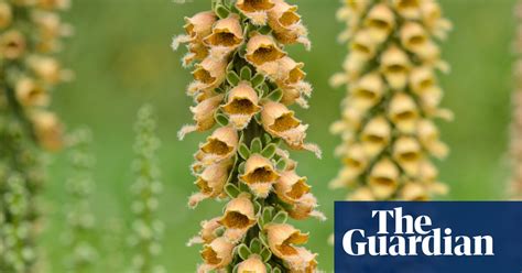 Daniella roi nude easy set up and great location, I’d