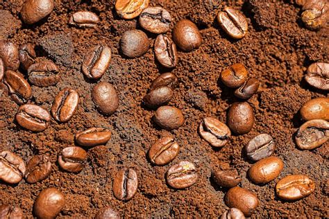 This Instant Coffee Delivers the Most Caffeine, According to Consumer