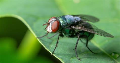 Miss.aylathegoddess leaked videos this woman is truly